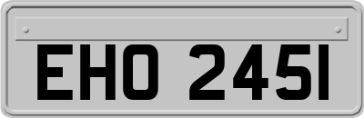 EHO2451