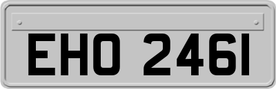 EHO2461