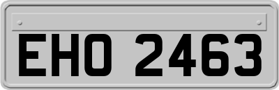 EHO2463