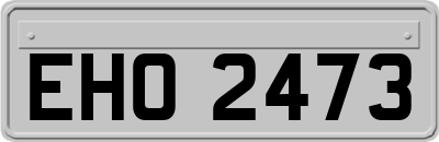 EHO2473