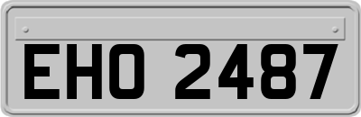 EHO2487