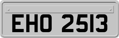 EHO2513