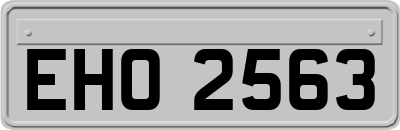 EHO2563
