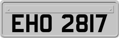 EHO2817