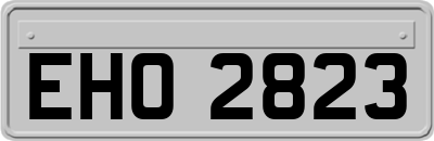 EHO2823