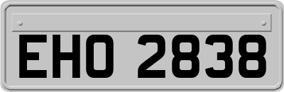 EHO2838