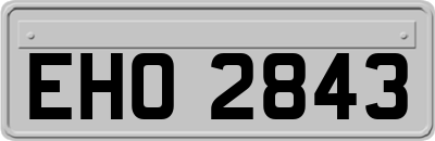 EHO2843