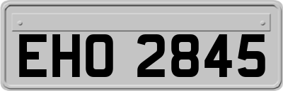 EHO2845