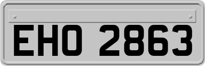 EHO2863