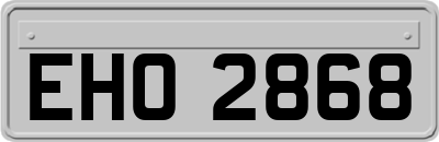 EHO2868