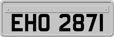 EHO2871