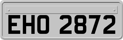 EHO2872