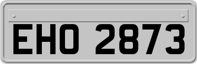 EHO2873