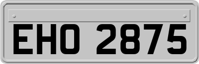 EHO2875