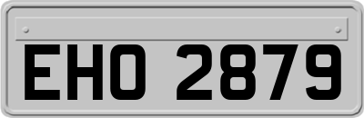 EHO2879