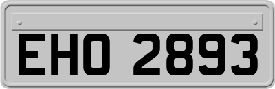 EHO2893