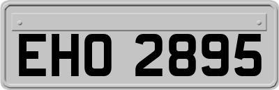 EHO2895