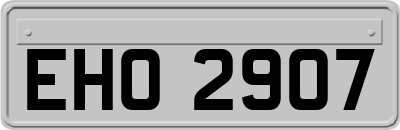 EHO2907