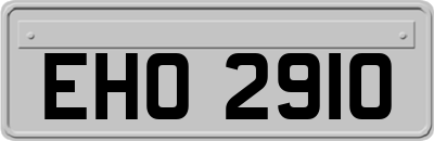 EHO2910