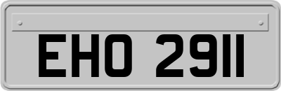 EHO2911