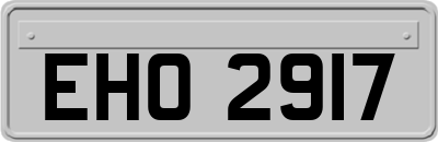 EHO2917