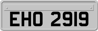 EHO2919