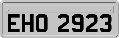 EHO2923