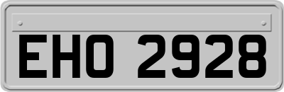EHO2928