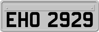 EHO2929
