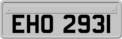 EHO2931