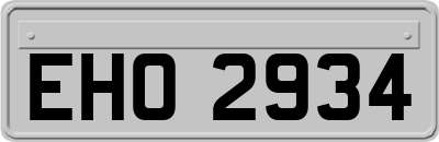 EHO2934