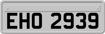 EHO2939