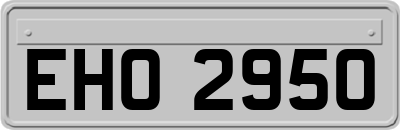 EHO2950