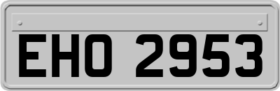 EHO2953