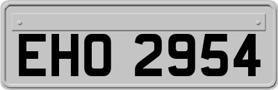 EHO2954