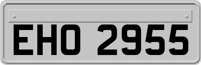 EHO2955