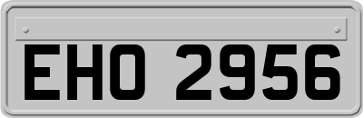 EHO2956