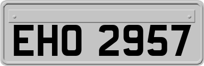 EHO2957