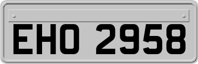 EHO2958