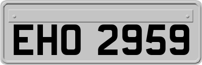 EHO2959
