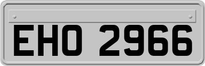 EHO2966