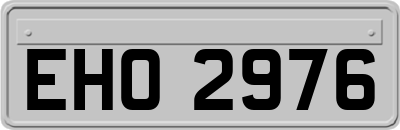 EHO2976