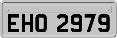 EHO2979