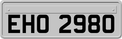 EHO2980