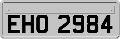 EHO2984