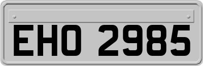 EHO2985