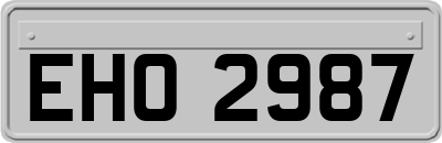 EHO2987