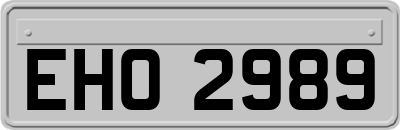 EHO2989