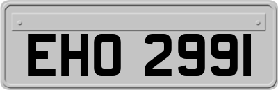 EHO2991