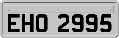 EHO2995